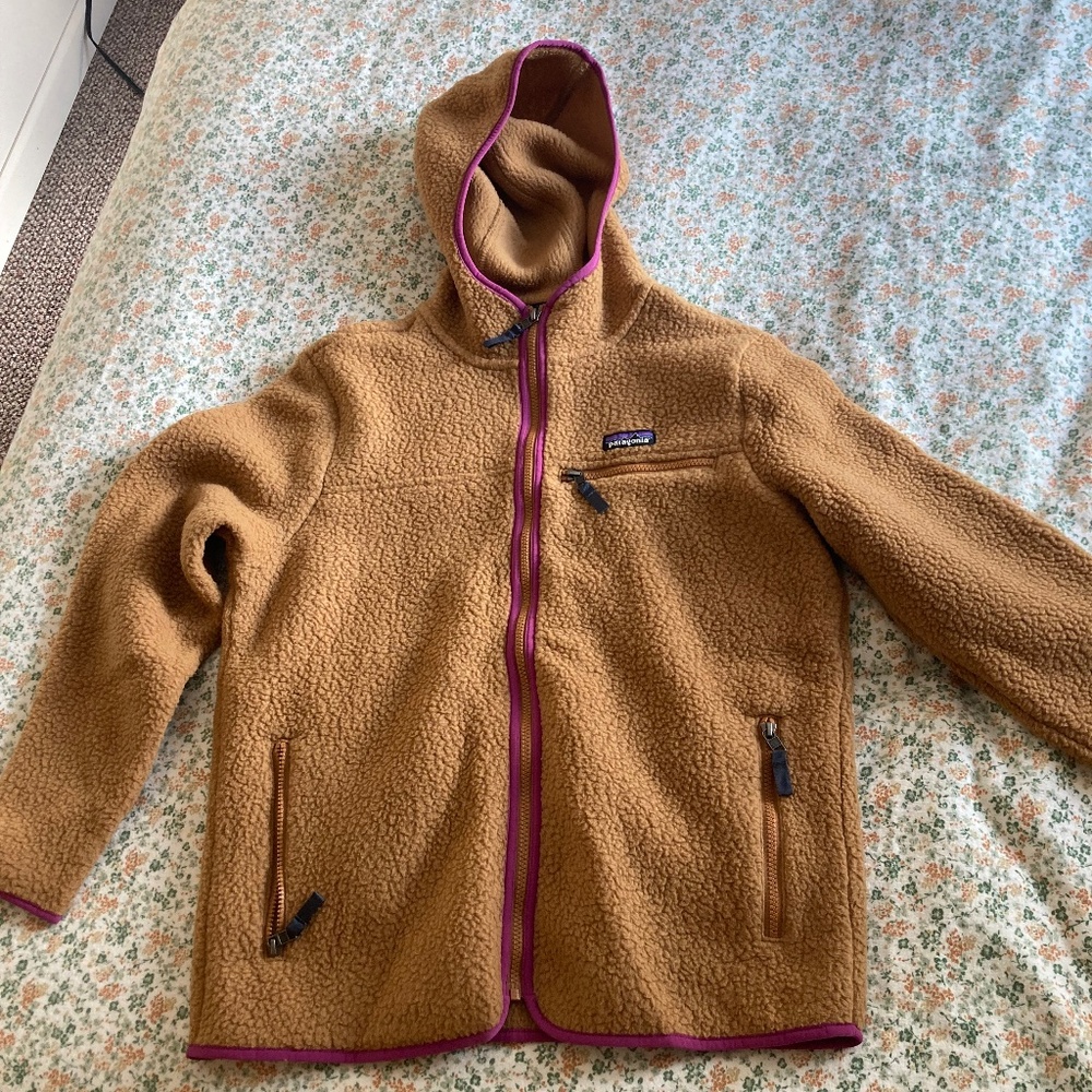 Patagonia Retro Pile fleece hoody